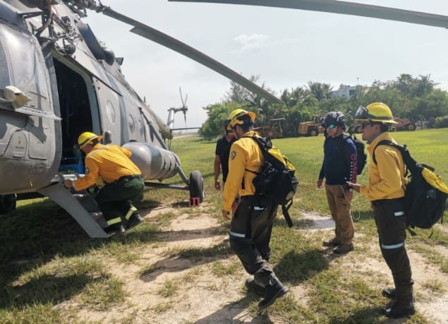 Personal Conafor combate incendio en Holbox